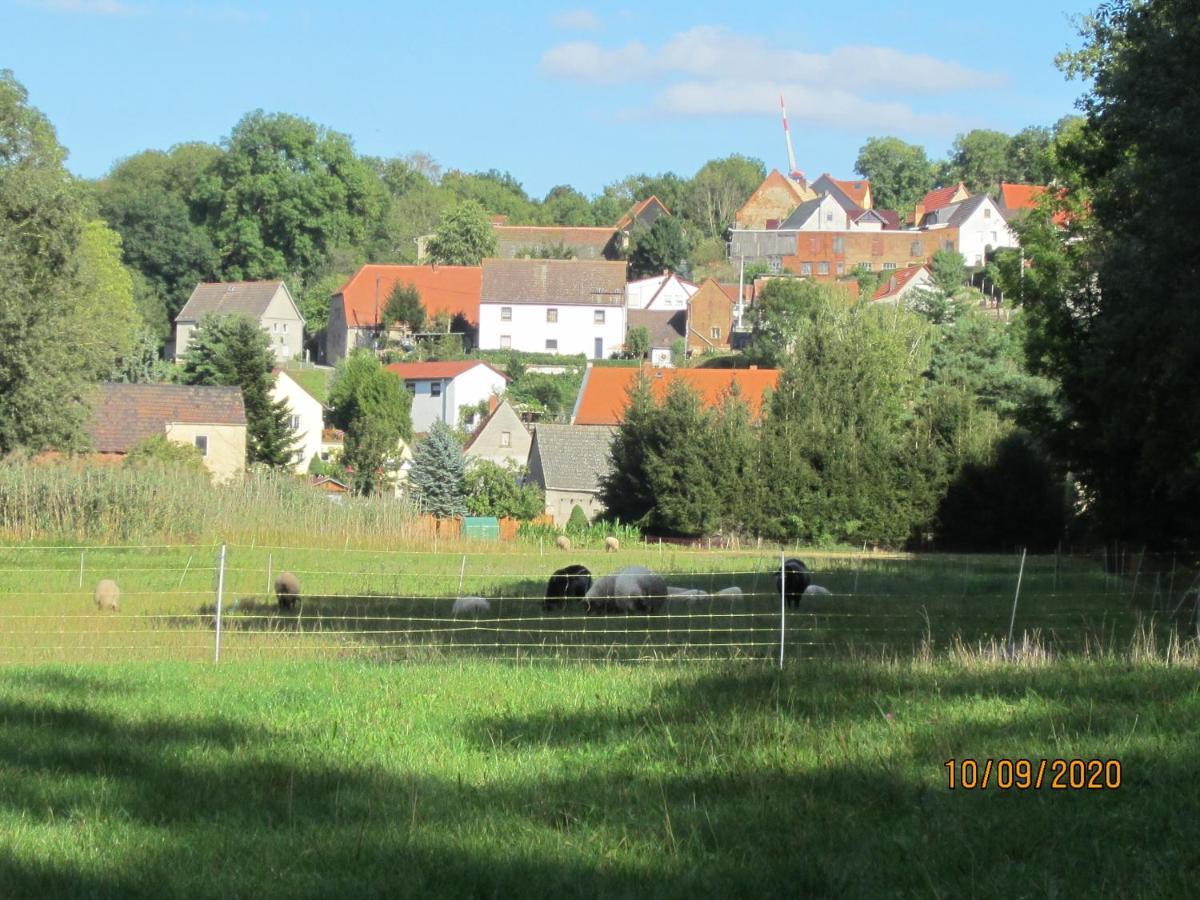 Ferienwohnung Bienwald Mit Pool Fuer 4 - 6 Personen Mit 3 Schlafzimmern Grobitz Buitenkant foto