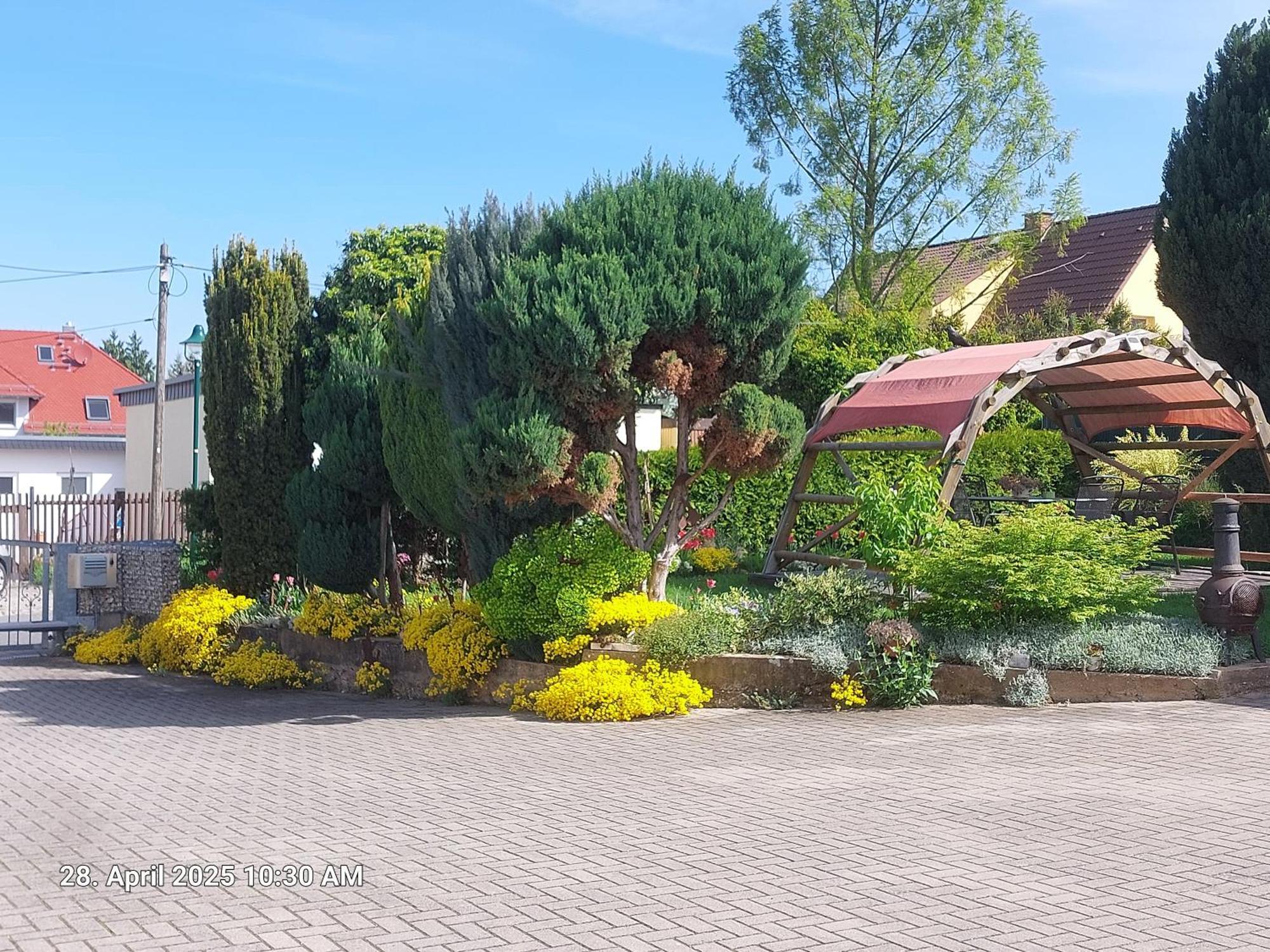 Ferienwohnung Bienwald Mit Pool Fuer 4 - 6 Personen Mit 3 Schlafzimmern Grobitz Buitenkant foto