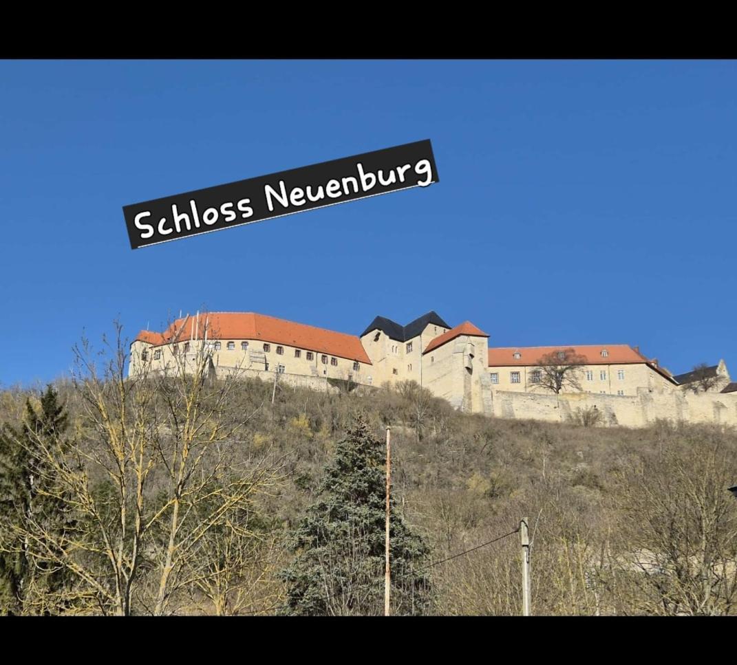Ferienwohnung Bienwald Mit Pool Fuer 4 - 6 Personen Mit 3 Schlafzimmern Grobitz Buitenkant foto
